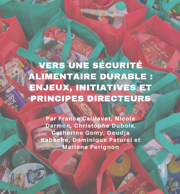 Vers une sécurité alimentaire durable : enjeux, initiatives et principes directeurs